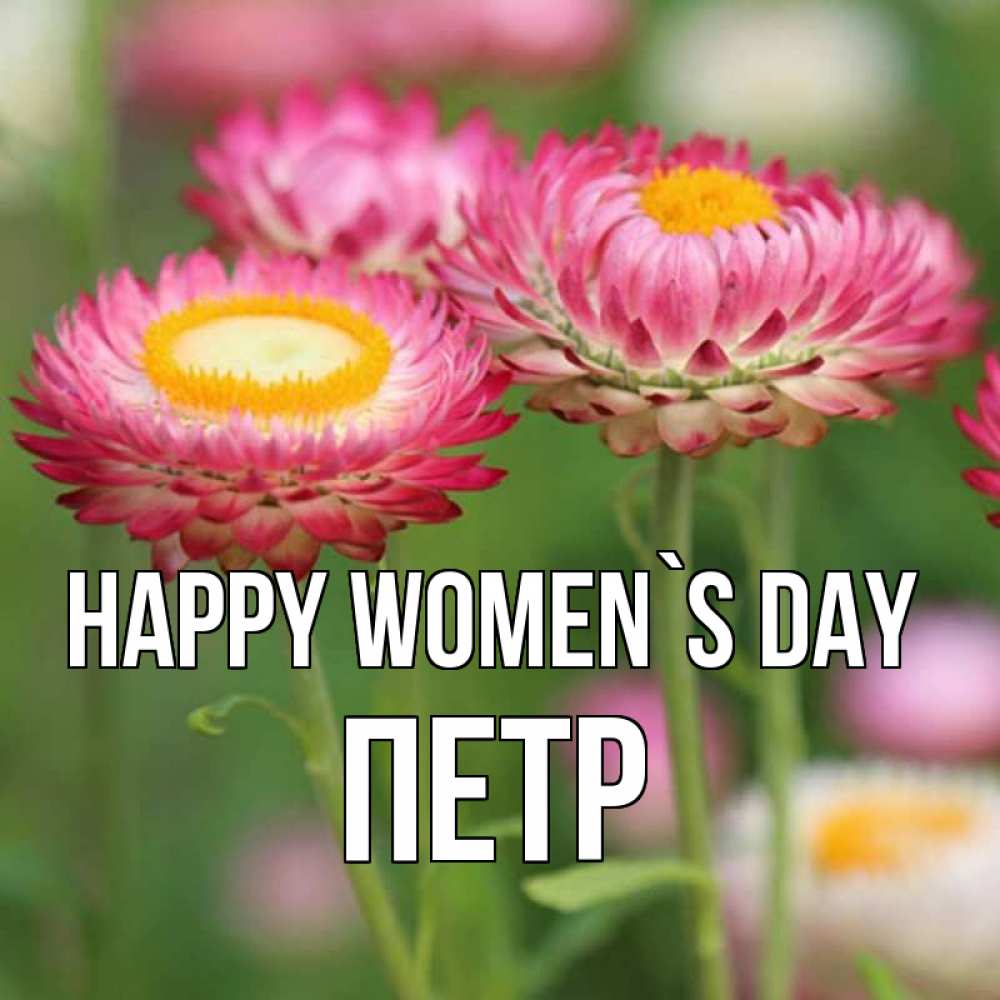 Greetings card с именем, Петр happy women`s day подарок на международный женский день Greetings with text for free download 